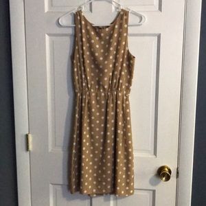 J. Crew Polka Dot Dress